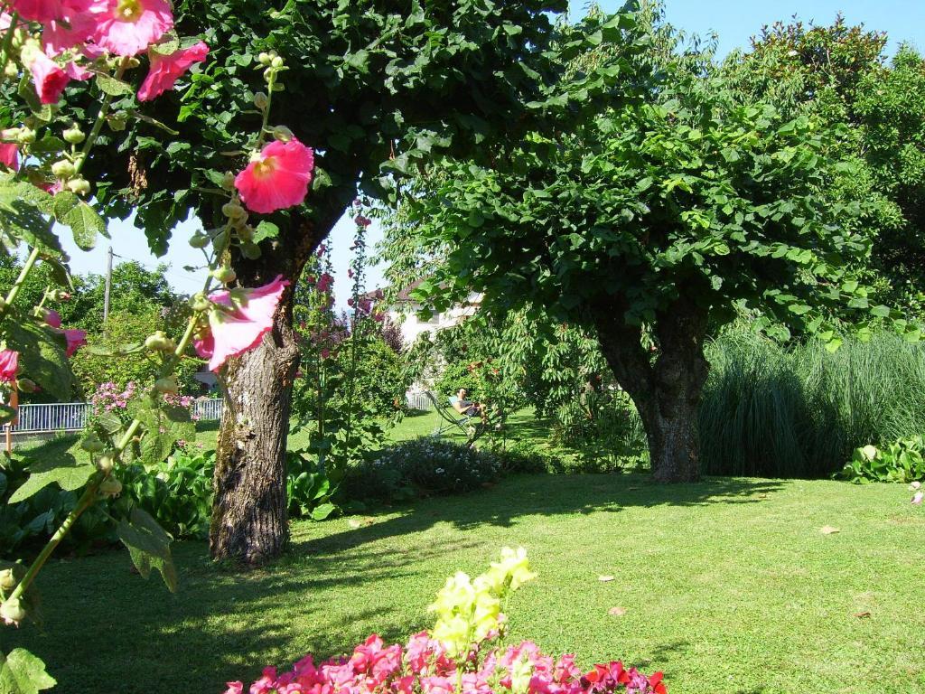 Hotel Les Pavillons Du Golf Evian-les-Bains Bagian luar foto
